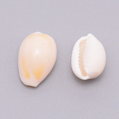 Natural Cowrie Shell Beads SSHEL-WH0001-31-1