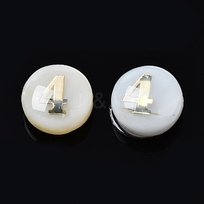 Natural Freshwater Shell Beads SHEL-N003-20-04-1