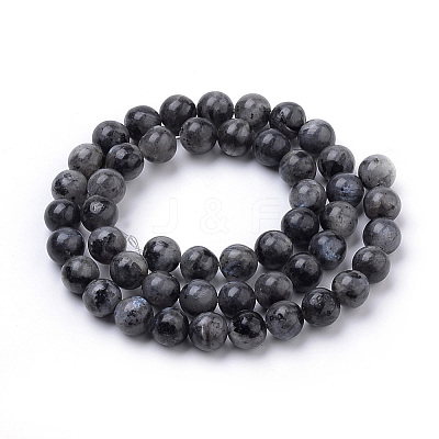 Natural Larvikite Beads Strands X-G-S259-06-12mm-1