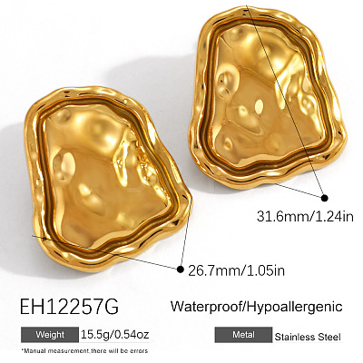 304 Stainless Steel Stud Earrings FS-WGFFC24-01-1