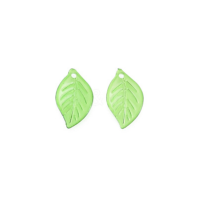 Transparent Acrylic Pendants TACR-T012-06-1