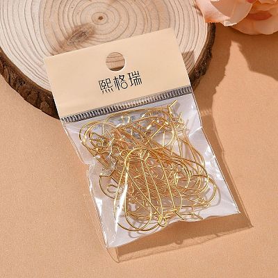 SHEGRACE Brass Kidney Ear Wire XGR0004G-43G-1