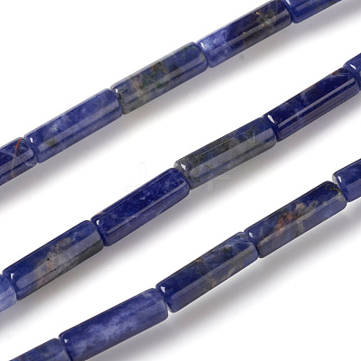 Natural Sodalite Beads Strands X-G-F247-30-1