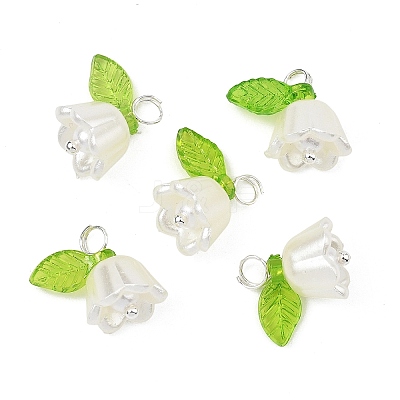 Acrylic with ABS Plastic Imitation Pearl Pendants PALLOY-JF05659-12-1
