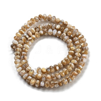 Natural Freshwater Shell Beads Strands BSHE-G038-05-1
