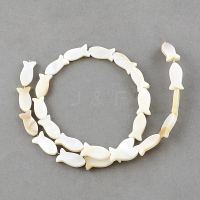 Natural Sea Shell Beads Strands X-SSHEL-Q296-39-1