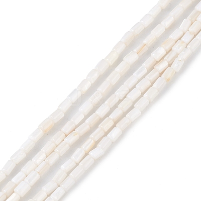 Natural Freshwater Shell Dyed Beads Strands X-SHEL-M018-12-12-1