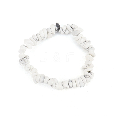 Natural Howlite Chips Beaded Stretch Bracelet for Women PW-WG72437-17-1