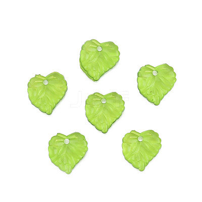 Transparent Acrylic Pendants TACR-T012-05-1