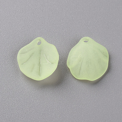 Transparent Frosted Acrylic Pendants MACR-S371-02A-728-1