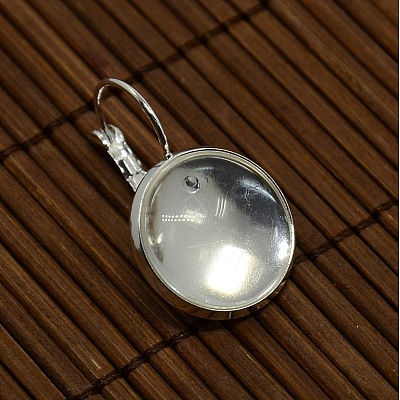 Clear Domed Glass Cabochon Cover and Brass Leverback Earring Settings for DIY DIY-X0160-S-RS-1