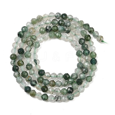 Natural Moss Agate Beads Strands G-J002-03H-A-1