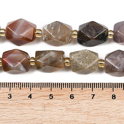 Natural Botswana Agate Beads Strands G-P611-B01-01-1
