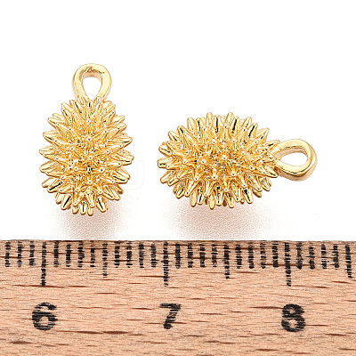 Brass Charms KK-N263-106G-1