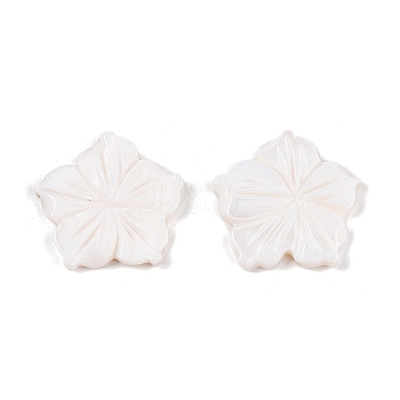 Natural Freshwater Shell Carved Cabochons SSHEL-T017-03-1