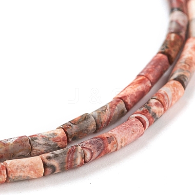 Natural Leopard Skin Jasper Beads Strands G-G783-17-1