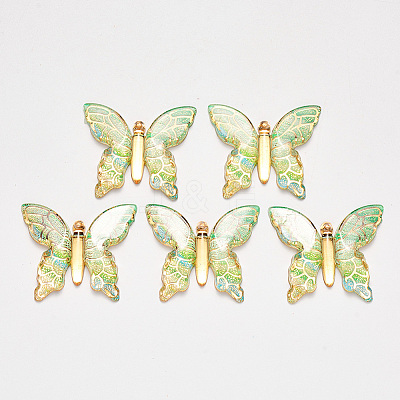 Transparent Acrylic Pendants LS-X-TACR-R140-06H-1