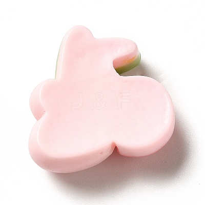 Opaque Resin Cabochons RESI-E030-01D-1