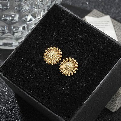 304 Stainless Steel Stud Earrings for Women LS-STAS-Z117-14G-02-1