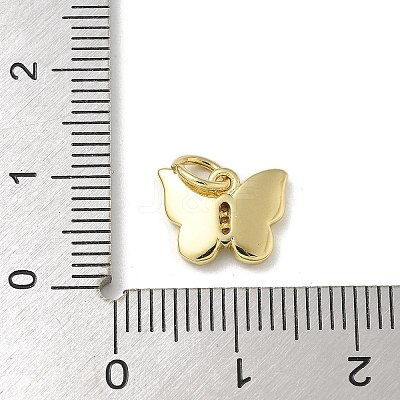 Brass Micro Pave Cubic Zirconia Charms LS-KK-U046-16G-02-1