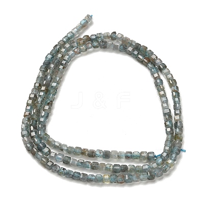 Natural Apatite Beads Strands G-B107-C01-01-1