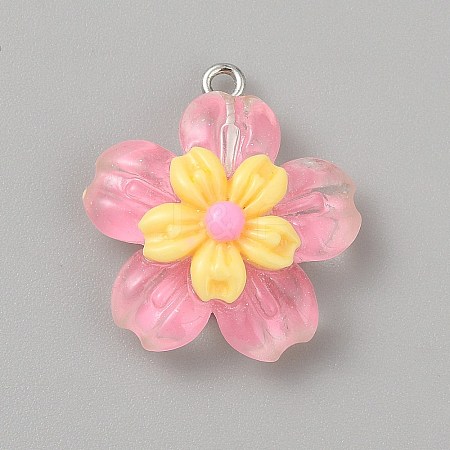 Transparent Resin Pendants RESI-TAC0002-84E-1