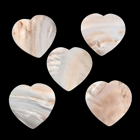 Natural Freshwater Shell Cabochons SHEL-C010-10A-1