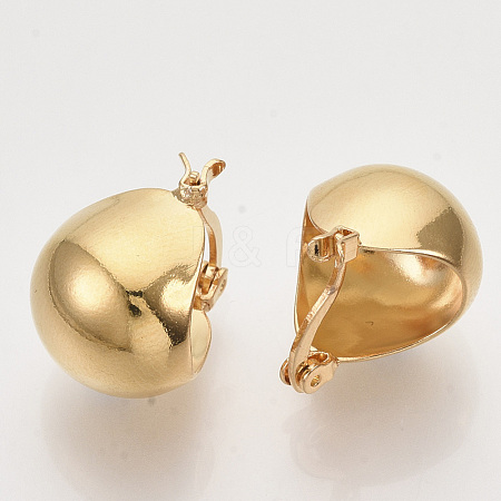 Brass Hoop Earrings EJEW-T007-16G-NF-1