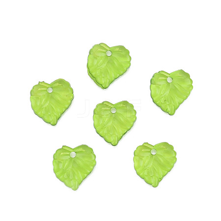 Transparent Acrylic Pendants TACR-T012-05-1