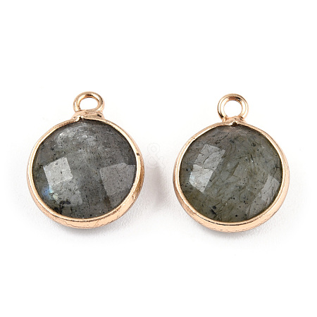 Natural Labradorite Charms G-Q998-026E-1