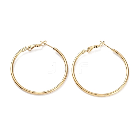 Ring 304 Stainless Steel Hoop Earrings for Women Men EJEW-B049-02D-G-1