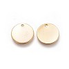 304 Stainless Steel Charms STAS-I098-06-2