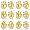 12Pcs Brass Charms KK-BC0015-09G-1