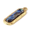 Paua Shell Pendants SSHEL-B145-01C-G-2
