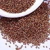 MIYUKI Delica Beads X-SEED-J020-DB1837-1