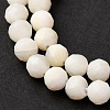 Shell Beads Strands SSHEL-E571-38-4mm-01-4