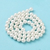 Shell Pearl Bead Strands BSHE-L026-03-6mm-4