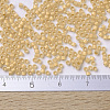 MIYUKI Delica Beads Small X-SEED-J020-DBS0230-4