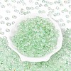 Baking Paint Transparent Glass Beads DGLA-T004-08G-1
