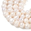 Natural Cultured Freshwater Pearl Beads Strands PEAR-L034-12G-3