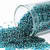 TOHO Round Seed Beads X-SEED-TR15-0027BD-1
