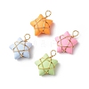 Opaque Resin Pendants PALLOY-JF01849-01-1