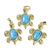 Synthetic Turquoise & Brass Pendants KK-F887-01G-06-1