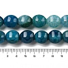 Dyed Natural Agate Beads Strands G-H087-E01-01A-5