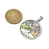 Antique Silver Tone Alloy Pendants PALLOY-JF02361-02-2