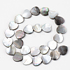 Natural Black Lip Shell Beads Strands SSHEL-Q298-11A-2