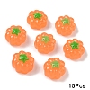 15Pcs Resin Cabochons RESI-YW0005-56-1