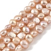 Natural Cultured Freshwater Pearl Beads Strands PEAR-A006-03F-1