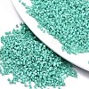 11/0 Grade A Baking Paint Glass Seed Beads X-SEED-S030-1038-1