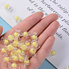 Transparent Acrylic Beads TACR-S152-03A-SS2105-5